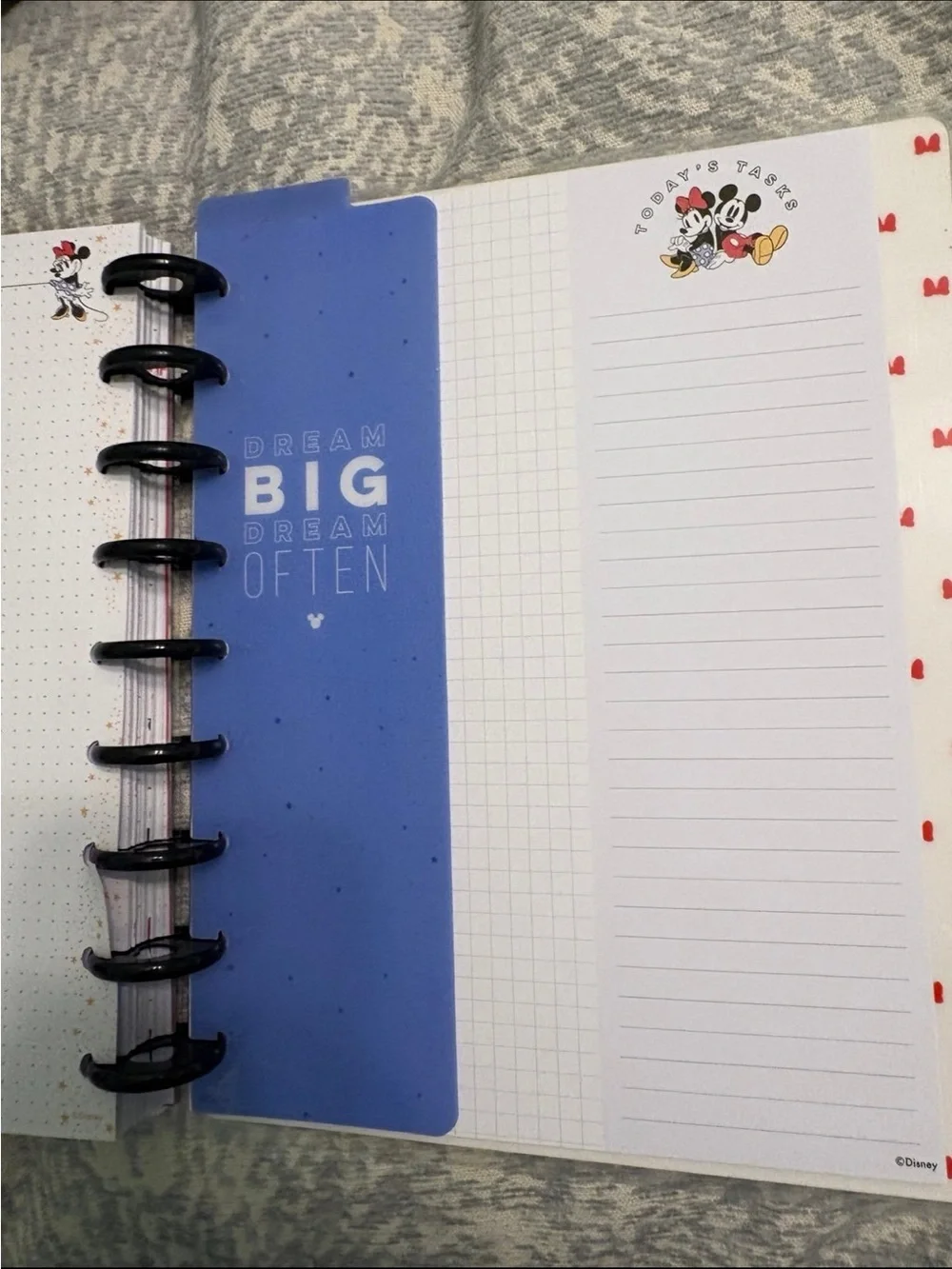 Happy Planner Classic Disney Minnie Mouse Budget Journal Disc